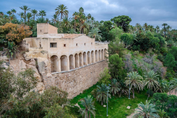 Vista panorámica de Elche, ciudad de Alicante
