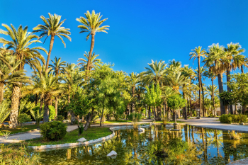 Palmeral de Elche, Patrimonio de la Humanidad en Alicante