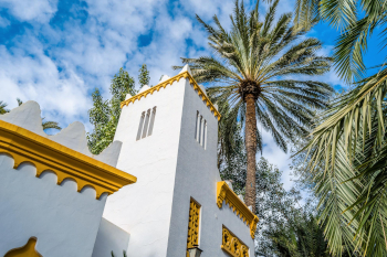 Vista del Palmeral de Elche en la Comunidad Valenciana