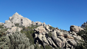 Rocas y vegetación en el paraje natural de La Pedriza, Madrid