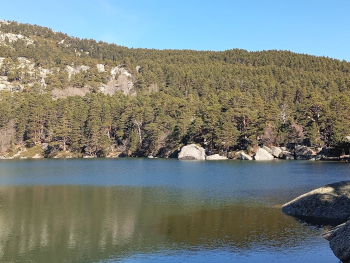 Aguas tranquilas de la Laguna Negra con reflejo del bosque