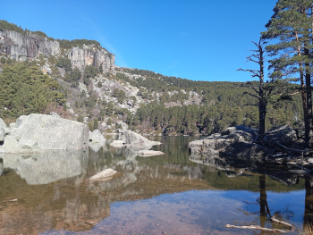 Rocas y bosque junto a la Laguna Negra de Soria