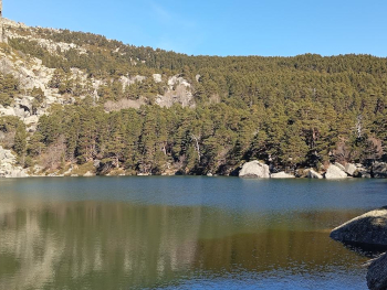 Rocas y pinos reflejados en la Laguna Negra