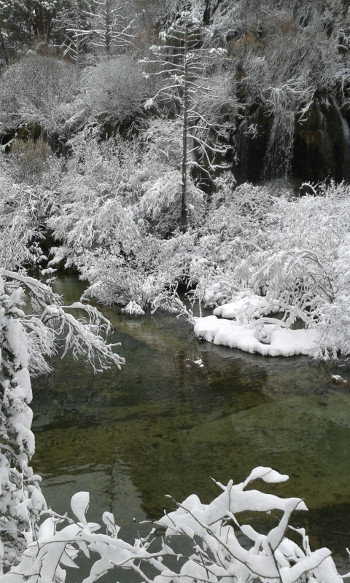 Río Cuervo rodeado de rocas y musgo