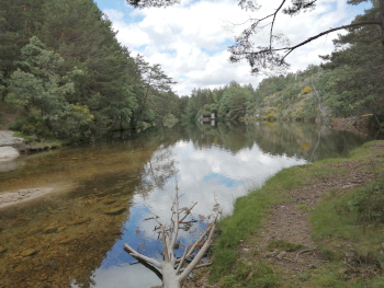 Arroyo de la Angostura