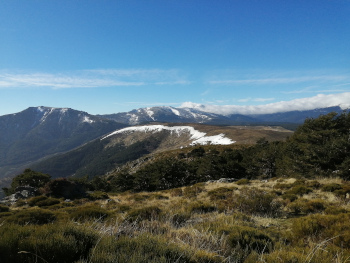 Puerto de la Morcuera