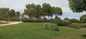 Paisaje con árboles y pradera en el Parque Juan Carlos I