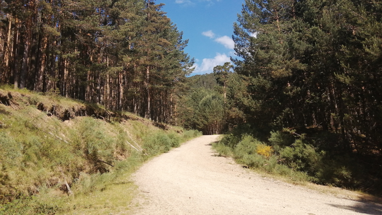 Ruta senderista hacia la Poza de Sócrates en el Valle de la Angostura, Madrid